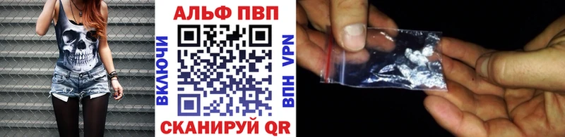APVP СК КРИС Шенкурск