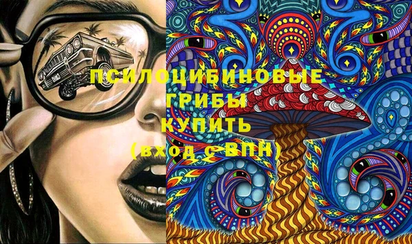 амф Новодвинск