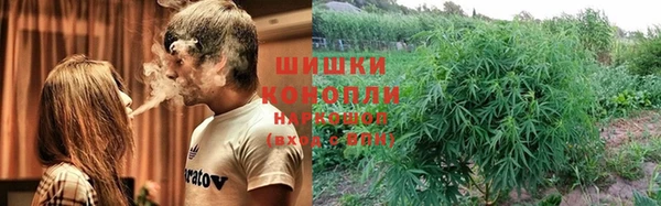 мяу мяу мука Абаза