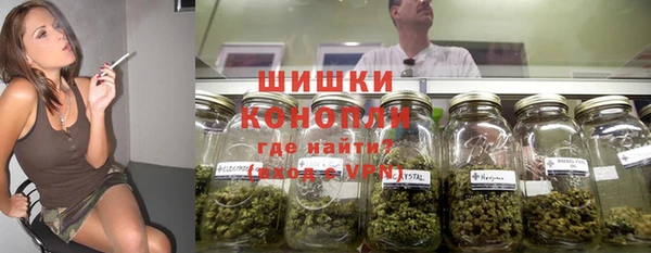 мяу мяу мука Абаза