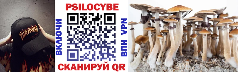 Галлюциногенные грибы Psilocybine cubensis  Шенкурск 